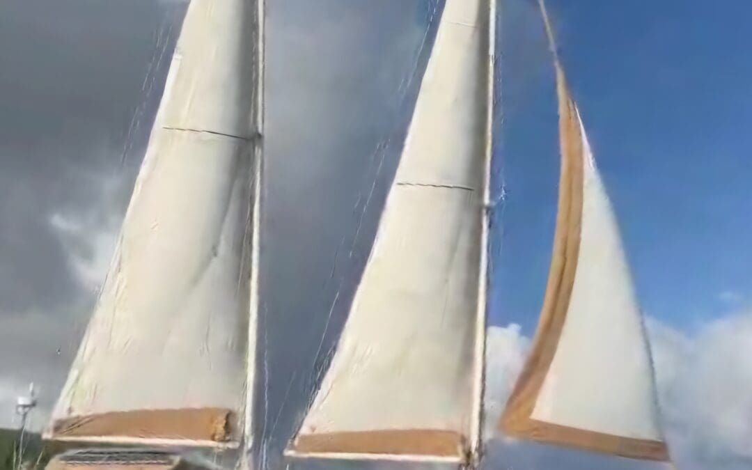 Discover World-Class Yachts in Cape Town: Why European Buyers Trust Angela Collins Yachts