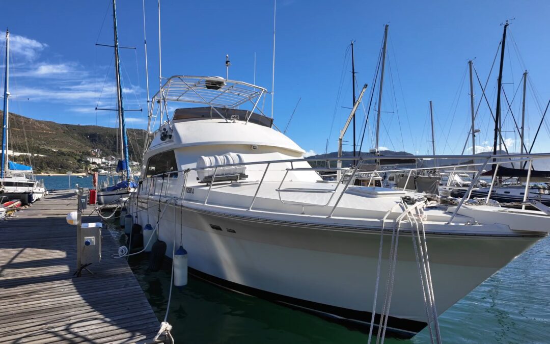 Legendary BERTRAM 54 SPORT FISHER Available for sale in Cape Town