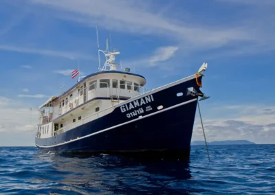 COLVIN CUSTOM BUILT 1998 MOTOR YACHT 21.3 meters $ 220,000 USD – USED FOR DIVE CHARTERS / BUSINESS ALSO FOR SALE @ $80,000. USD
